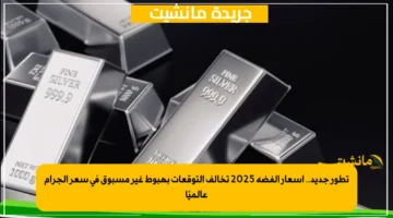 تطور جديد.. أسعار الفضة 2025 تخالف التوقعات بهبوط غير مسبوق في سعر الجرام عالميًا